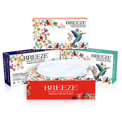 BREEZE BRE021 2 Ply Facial Tissues - Soft & Disposable Wipes for Kitchen, Car, Office & Home - 100 Pulls in Each Box, Pack of 4